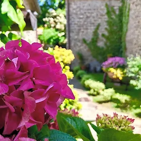 Biologico Castello Della Pieve ホテル 3*