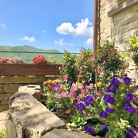 Biologico Castello Della Pieve 3* Mercatello sul Metauro