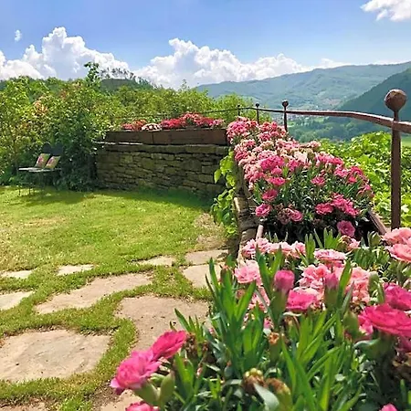 Biologico Castello Della Pieve