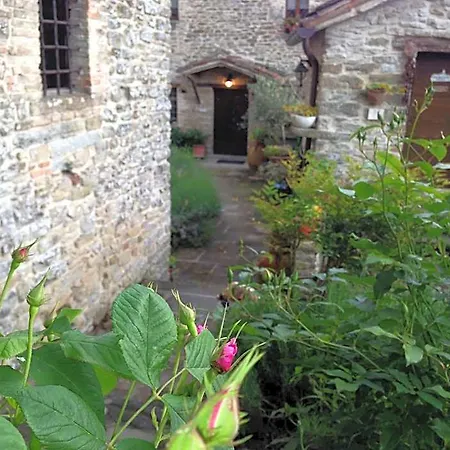 Biologico Castello Della Pieve ホテル Mercatello sul Metauro