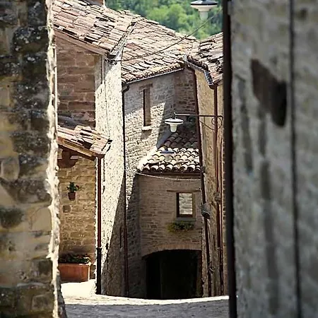 Biologico Castello Della Pieve ホテル 3*