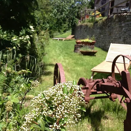 Hotel Biologico Castello Della Pieve 3*