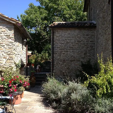 호텔 Biologico Castello Della Pieve 3*