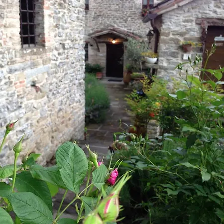 Biologico Castello Della Pieve Mercatello sul Metauro