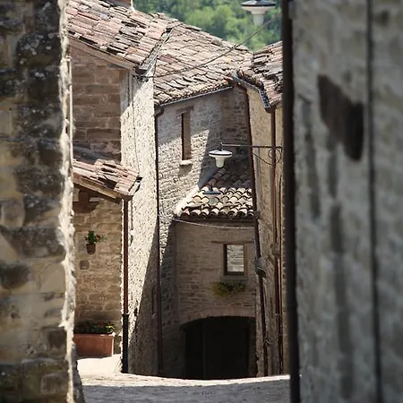 Biologico Castello Della Pieve Mercatello sul Metauro
