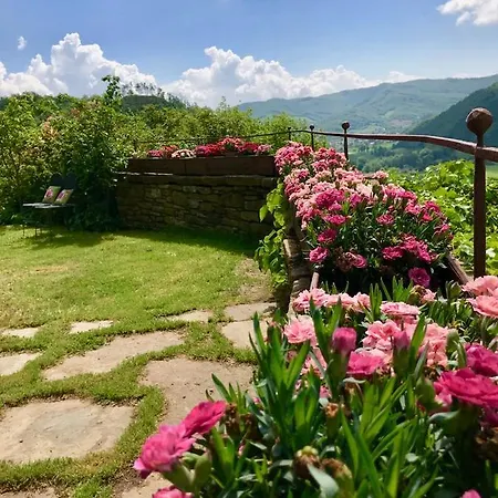 Biologico Castello Della Pieve Mercatello sul Metauro